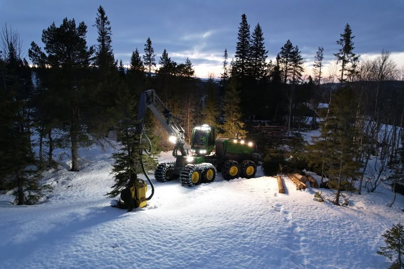 forestry